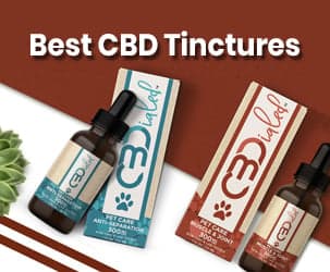 Best CBD Tinctures for 2022 - CBD Tinctures Buying Guide